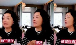 张兰爆料离婚了吗视频全集,视频全集深度解析