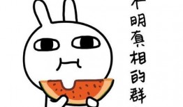 娱乐吃瓜酱原来表白被拒,表白被拒，揭秘娱乐圈背后的甜蜜苦涩