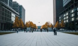 菲米尼实战爆料最新消息,揭秘行业黑幕，深度解析市场动态