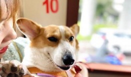 最新娱乐718吃瓜爆料,明星幕后故事大揭秘！