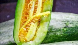 吃网红瓜的平台有哪些呢,盘点各大热门吃瓜平台