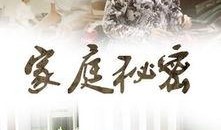 家庭秘密全集在线观看,全集在线观看深度解析