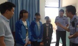 成都交警队爆料信息网最新,严打交通违法行为，守护城市交通安全