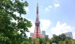 东京塔 在线观看