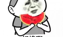 娱乐吃瓜酱这就是夏天,娱乐吃瓜酱带你领略这就是夏天的魅力