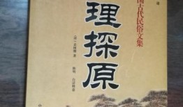 隔壁店老板爆料视频大全,揭秘行业背后真相