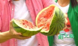 静海吃瓜的网红,揭秘网络红人的幕后生活