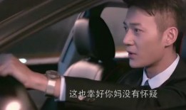 王柏川老婆爆料视频播放,揭秘背后真相