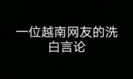 越南爆料博主是谁啊视频,视频背后的真相揭晓