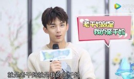 娱乐圈吃瓜吴磊是谁,揭秘他的星途与人气背后的故事