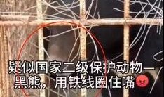 长春铁丝厂爆料视频大全,揭秘工厂内幕与真实故事