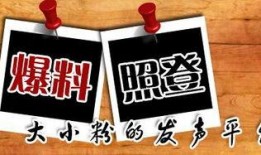 什么平台看新闻爆料最好,掌握实时资讯的秘籍