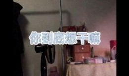 沙雕故事大爆料视频,笑料百出，笑翻你的周末时光