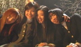 狐狸阶梯在线观看,探寻神秘世界的奇幻之旅