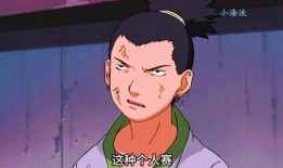 是谁爆料鹿丸的视频,揭秘鹿丸视频背后的真相