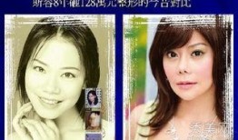 台湾节目爆料整容视频大全,视频大全曝光惊人内幕