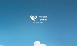 树叶最新爆料视频下载,幕后真相大起底