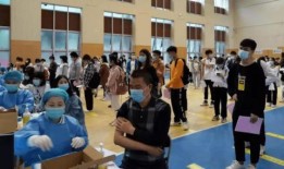 昆明爆料海燕视频最新消息,海燕视频最新动态揭秘