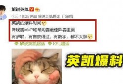 英凯爆料视频,事件背后惊人真相