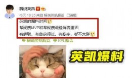 英凯爆料视频,事件背后惊人真相