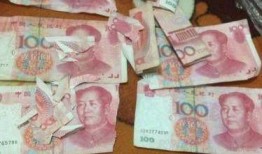 南京爆料二哈暴警视频下载,网络暴力与警民关系的反思