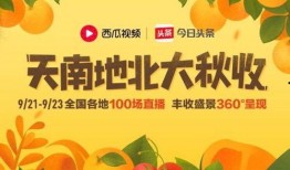 爆料西瓜视频活动