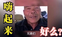 兄弟爆料搞笑视频合集,搞笑视频合集，笑点连连，欢乐无限