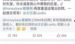 港澳明星爆料视频播放,视频揭秘幕后故事