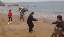 连云港海边爆料案件最新,真相渐浮水面，警方全力追查！