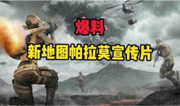 中国人震撼爆料视频