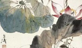 荷花爆料李洋视频,揭秘背后惊人真相