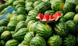 网红吃瓜有哪些人,揭秘网络时代的娱乐现象与人生百态