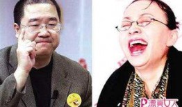 英达爆料丁玲完整视频,揭秘那段尘封的历史