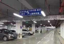 凤凰停车爆料视频下载,下载背后的真相与争议