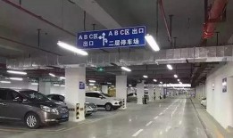 凤凰停车爆料视频下载,下载背后的真相与争议