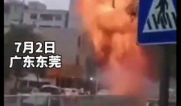 东莞爆料最新新闻事件,惊曝某大型企业涉嫌违规操作，引发社会关注