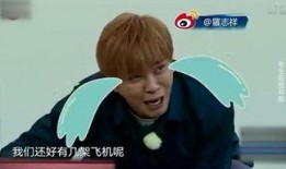 皮皮侠在线观看,在线观影，笑翻你的周末时光