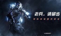 CF HD最新女角色爆料,神秘面纱下的独特魅力