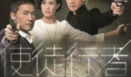 电视剧卧底在线观看,潜入黑暗，只为光明