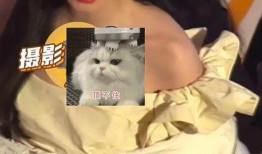 蔡西施被人爆料视频,揭秘背后真相与网络舆论的漩涡