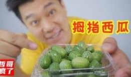 吃瓜吃料网站在线观看免费,免费在线观看，畅享娱乐盛宴