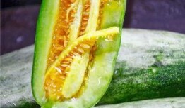 可以吃网红瓜的视频网站,畅享网红瓜的盛宴