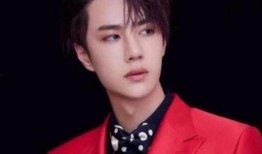 王一博粉丝爆料杨紫视频,引发网友热议