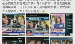 王力宏爆料事件真相视频,揭秘背后惊人内幕