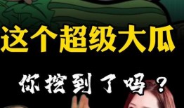 超级吃瓜小说免费阅读,揭秘娱乐圈背后的秘密与真相