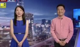 庆阳爆料视频最新消息新闻,揭秘事件真相，引发社会关注