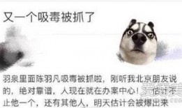 爆料陈羽凡吸毒事件视频,娱乐圈再掀风波