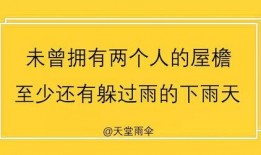 爆料新闻文案怎么写好呢,深度解析爆料新闻背后的真相与内幕