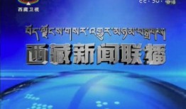 西藏近期爆料新闻视频大全,视频揭秘当地风土人情与热点事件