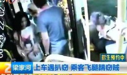 昆明爆料海燕视频大全,海燕视频大全揭秘，带你领略网络奇观
